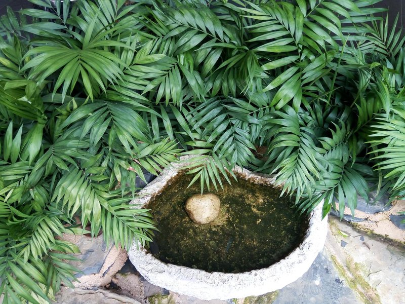 休闲