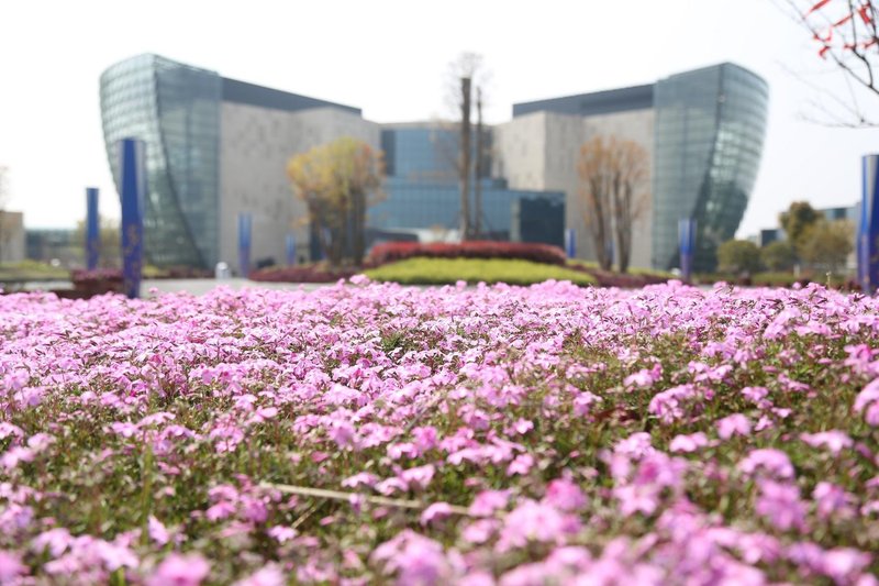 Mingdu Ziwei Garden Hotel Over view