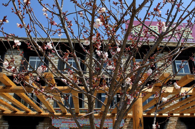 Yading Horizon Hotel Over view