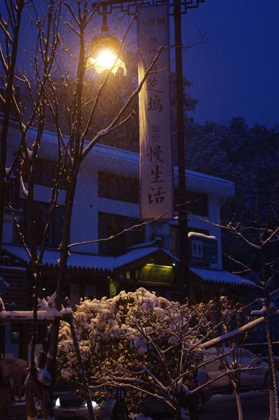 the Green Youth Hostel,hangzhou Over view