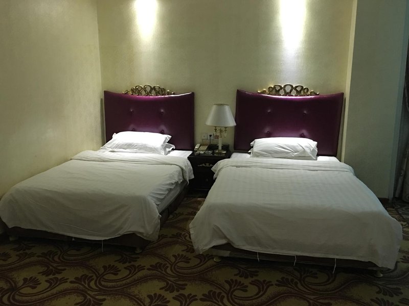 Xuwen Hongtian HotelGuest Room