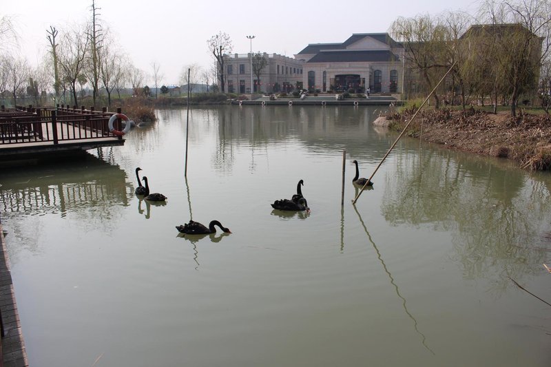 Nanxun Shiyou Eco Park Over view