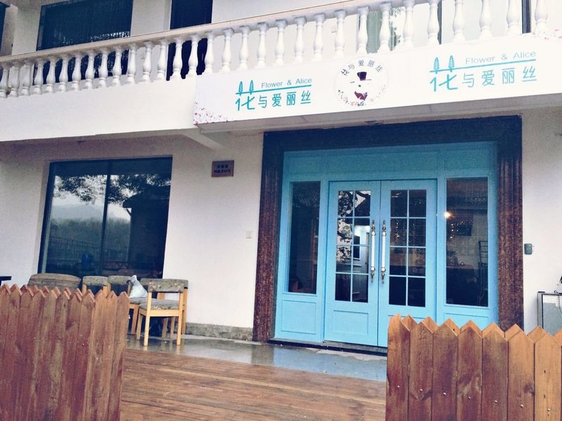 Flower & AliceOver view