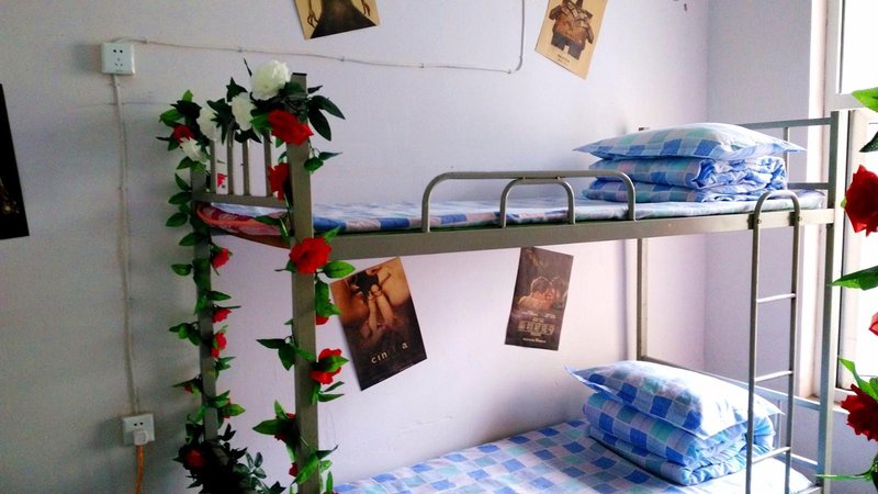 Ode to joy youth hostelGuest Room