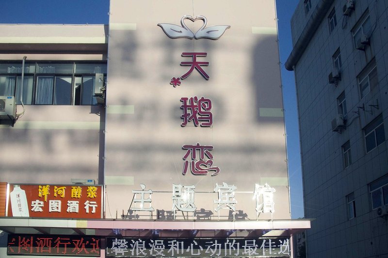 Swan Love Theme Hotel Over view