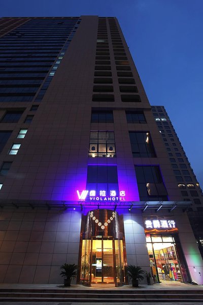 VIOLA HOTELOver view