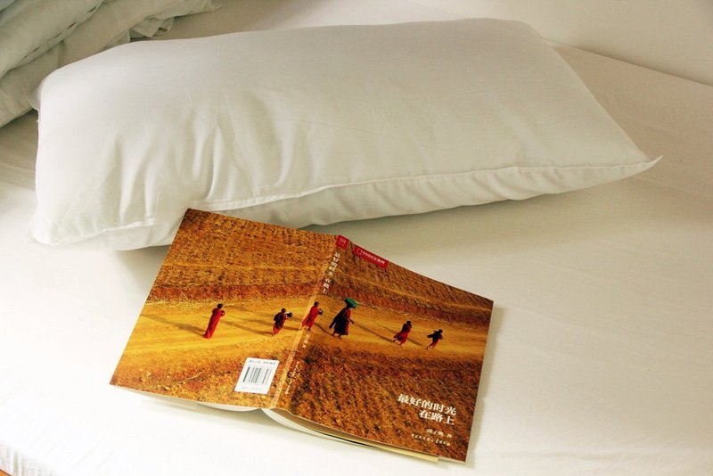 Yangshuo Hostels donkey nestGuest Room