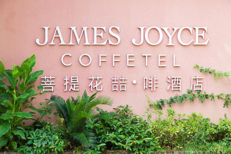 James Joyce Coffetel (Yangshuo Shili Hualang, Yulong River)Over view