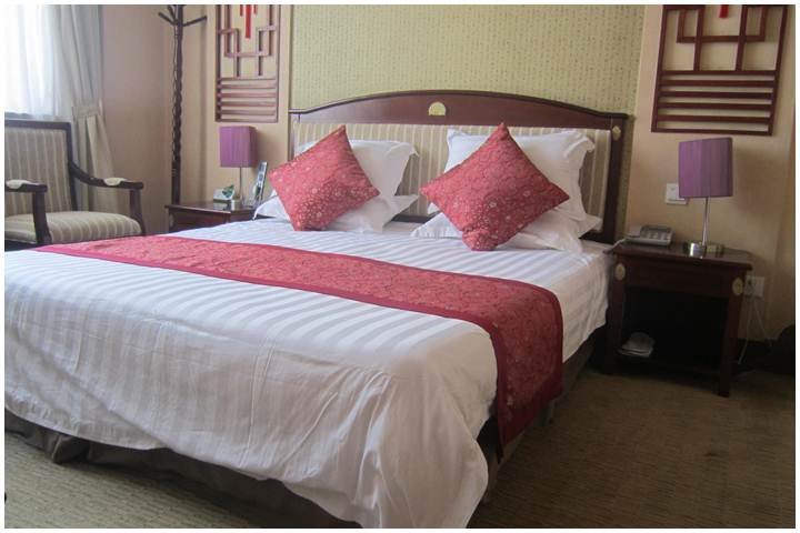 ELECTRIC POWER HOTEL YIMAGuest Room