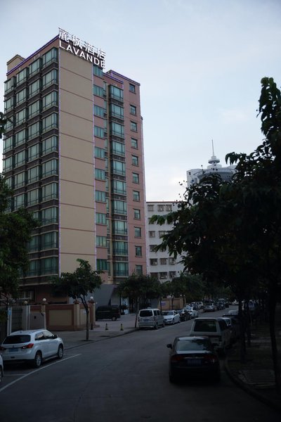 Lavande Hotel (Foshan Kuiqi Road Metro Station) Over view