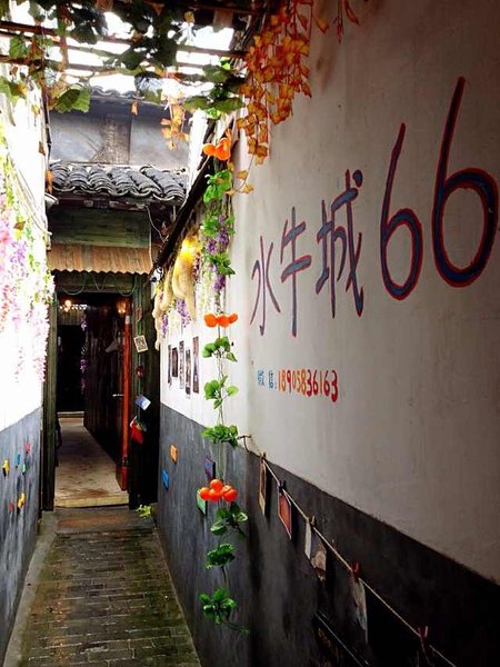 Buffalo 66 youth hostelOver view