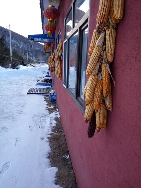 Zhong guo xue gu da he shen ke zhanOver view