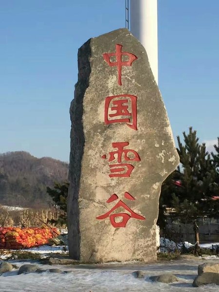 Zhong guo xue gu da he shen ke zhanOver view