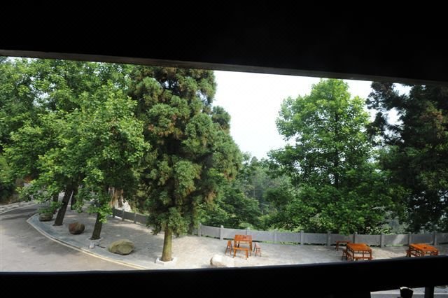 Yanxia Tea Inn Over view