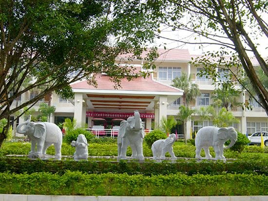 New Tai Garden Hotel Over view