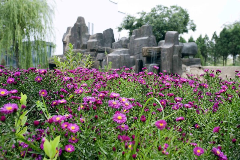 Ningxia Binhe Jinshuiyuan Hotel Over view