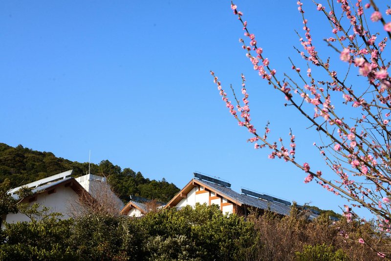 Putuoshan Hotel Over view