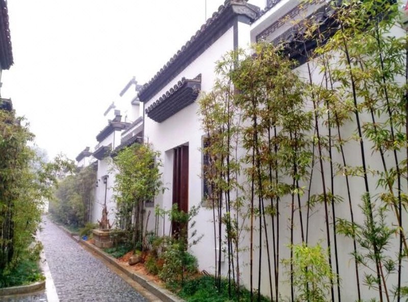 Mount Huangshan Boutique Hotel Over view