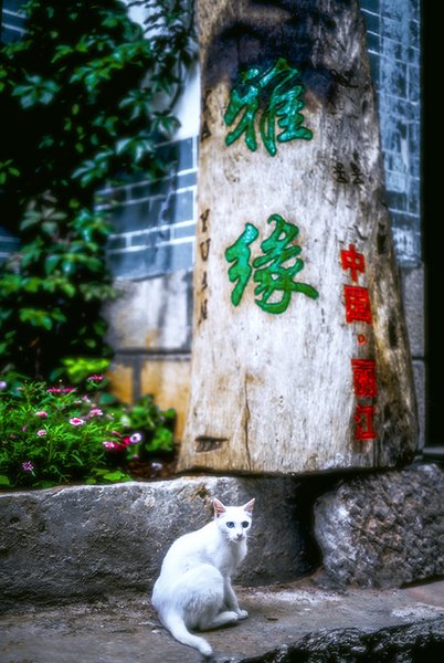 ya yuan inn Over view