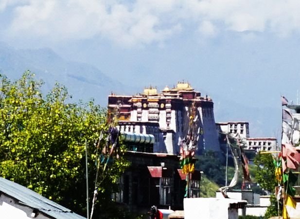 Tangxin InnOver view