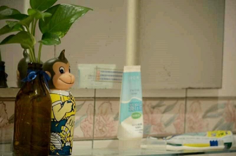 Local Travel n Lazy其他