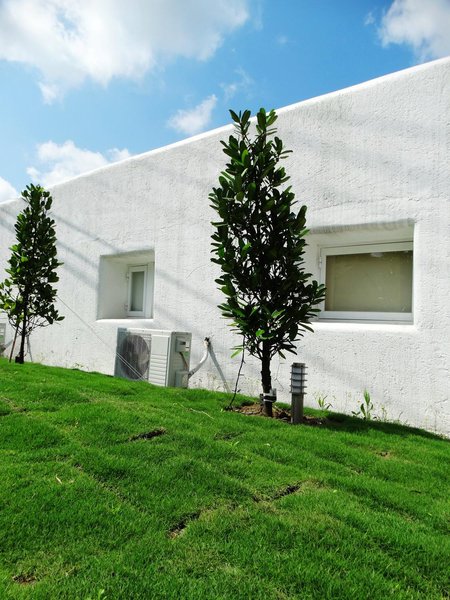 Small House Villa酒店外观