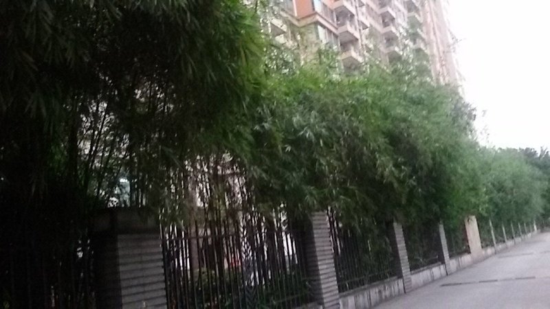Sui'ouyu Hostel Guangzhou 酒店外观