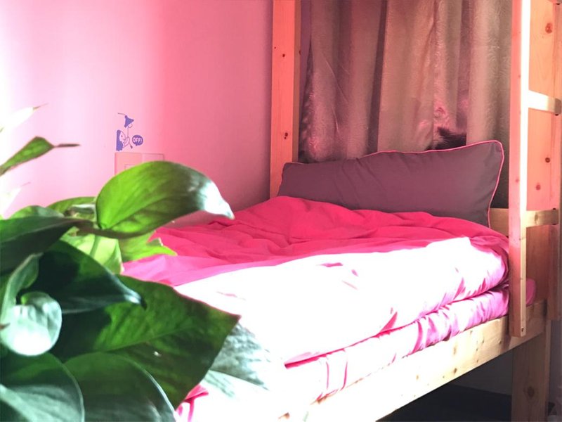 qiyu youth hostel Guest Room