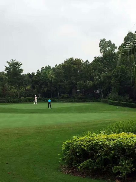 Mission Hills Resort ShenzhenOver view