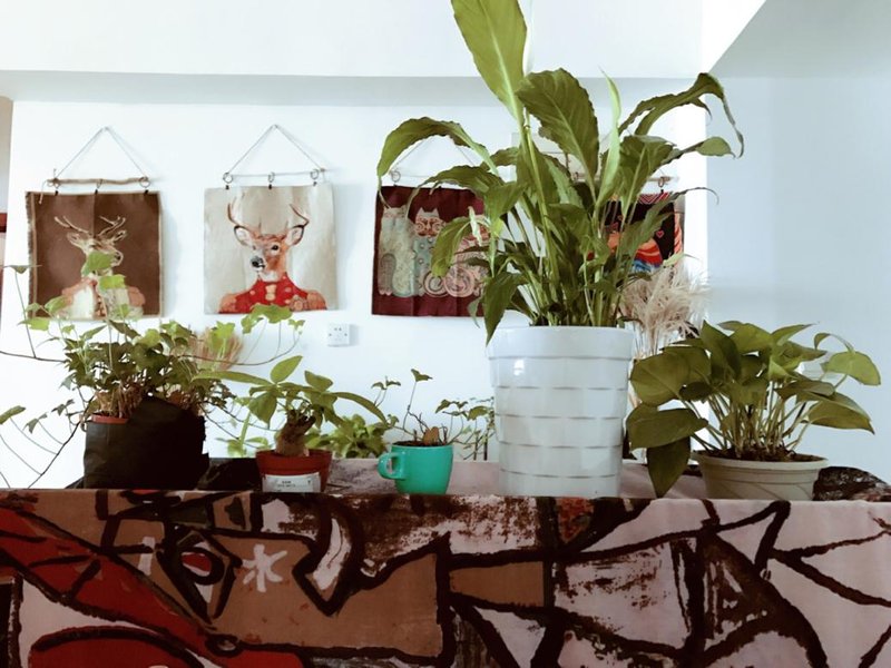 qiyu youth hostel Lobby