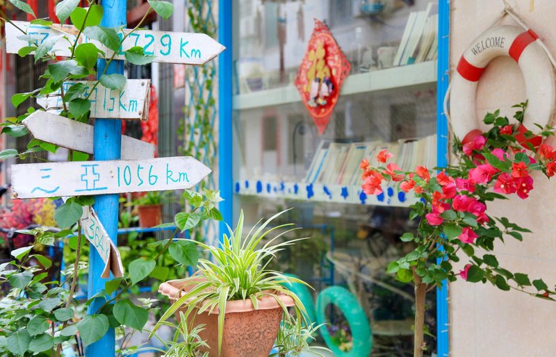 So  In Love Over view