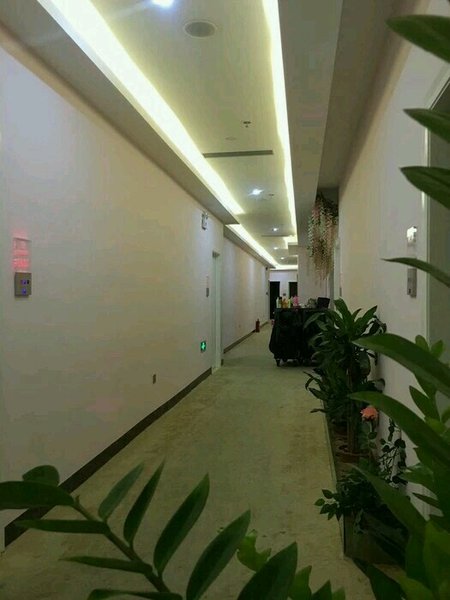 BAILE Fashion Themed Hotel Restaurant