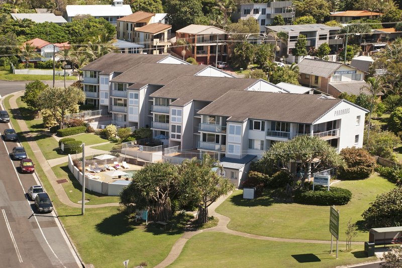 Pandanus Coolum BeachOver view