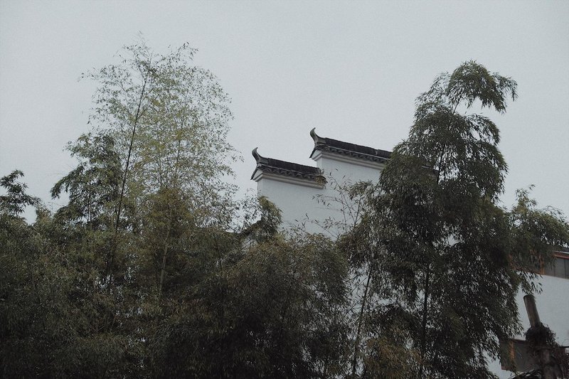 Hangzhou Soul Paradise Over view