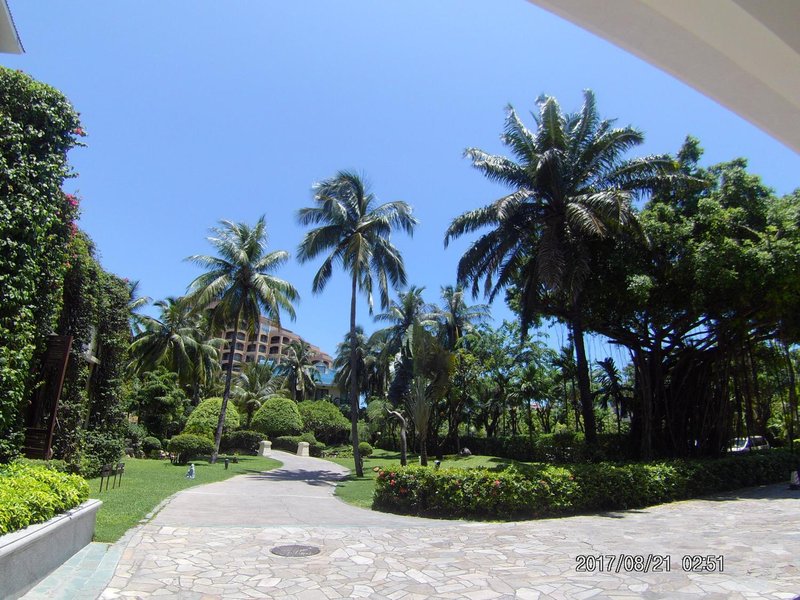 Palm Beach Resort & SpaOver view