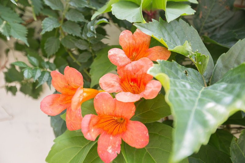 Yihai Qingfeng Holiday InnOver view