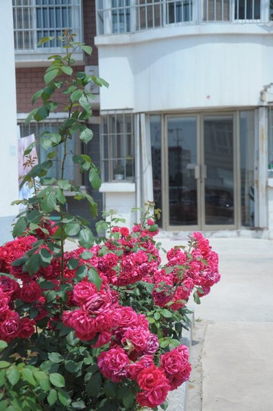 Yihai Qingfeng Holiday InnOver view