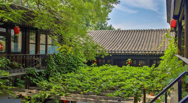 Hill Lily Courtyard Over view