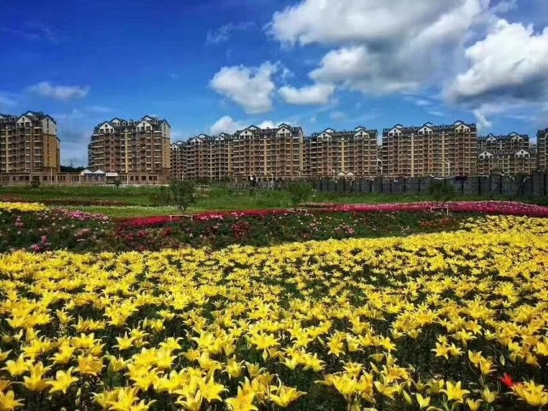 Sweetome Vacation Apartment (Mount Changbai North Latitude 41°)Over view