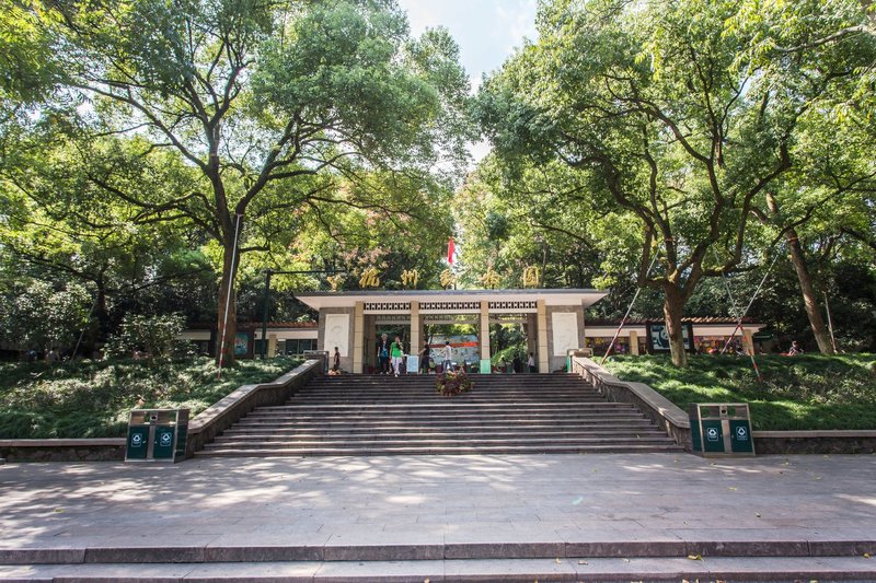 Flower & AliceOver view