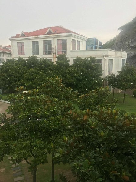 Face the seaOver view