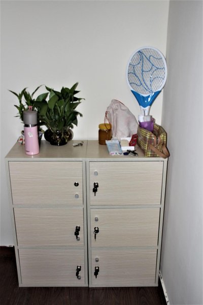 shanghai pet club youth hostelGuest Room