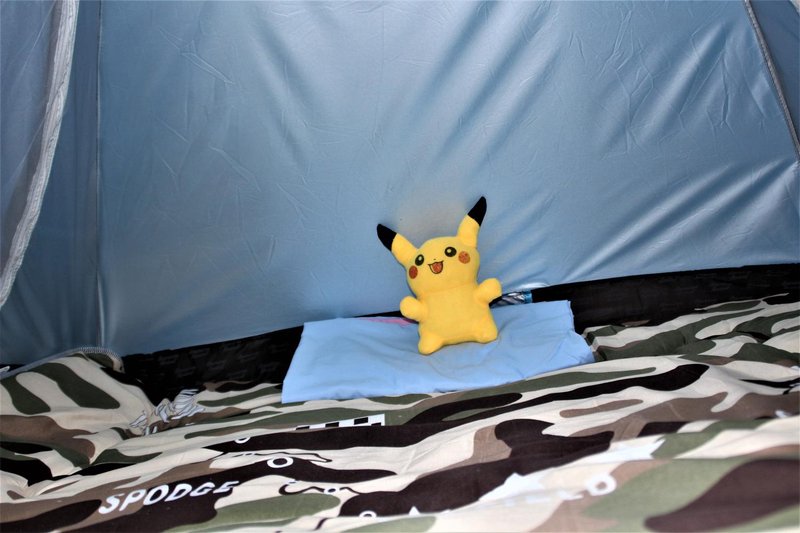 shanghai pet club youth hostelGuest Room