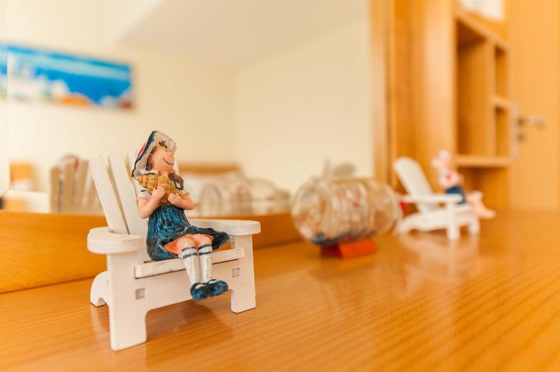 Kitten Cat Apartment Guest Room