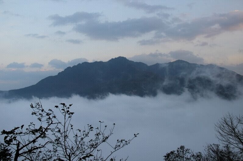 Cliff House Over view