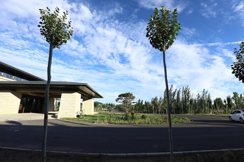 Dunhuang International Hotel Over view