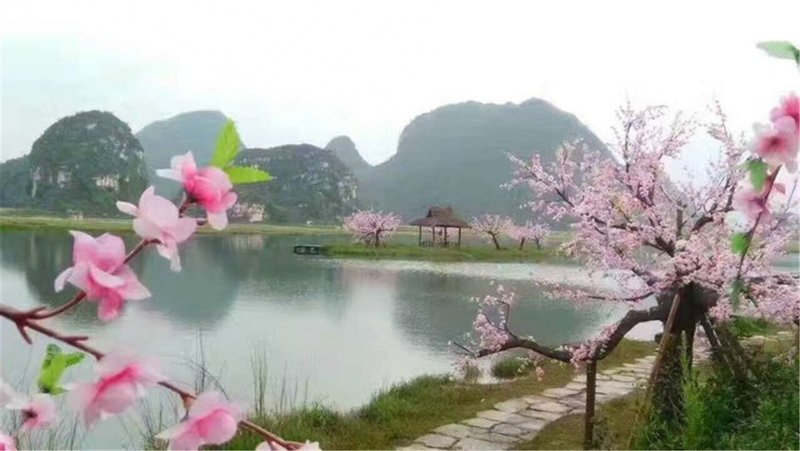 nongjiayinxiang Over view