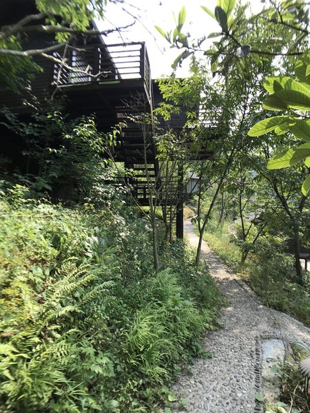 Qiaqia Shiyi HostelOver view