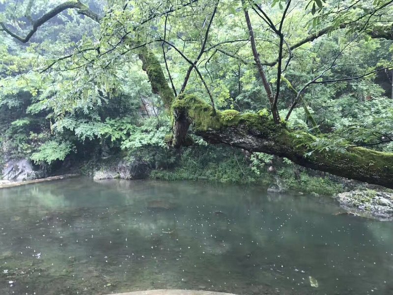 Qiaqia Shiyi HostelOver view