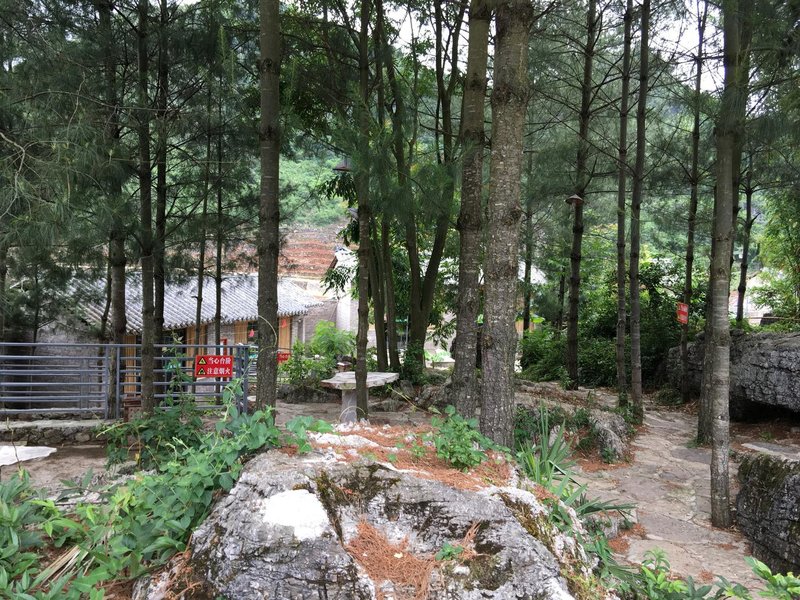 luopinyunshangdujiazhuangyuan Over view